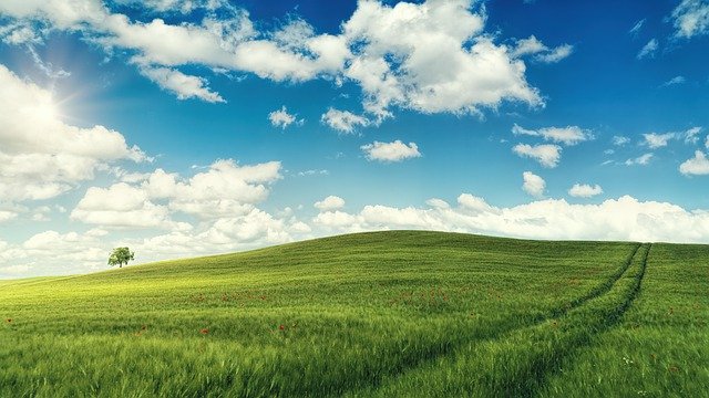 113年工藝校園扎根。種子教師培育計畫